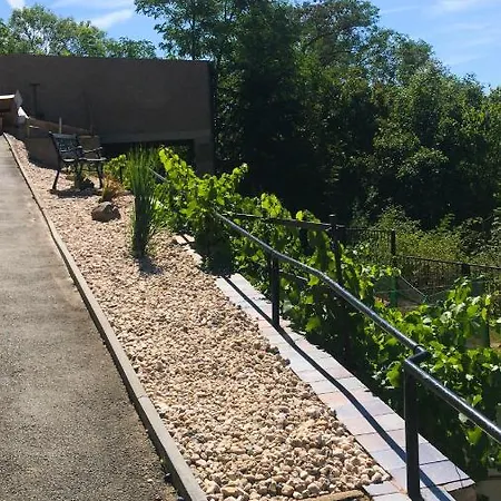 Einzigartiges Mit Kamin, Whirlpool, Netflix, Internet, Workspace, Garten Und Tropischem Flair Apartment *