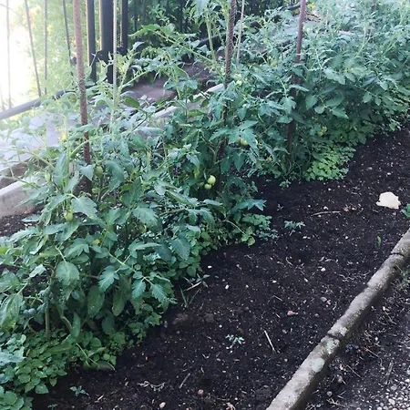 Einzigartiges Mit Kamin, Whirlpool, Netflix, Internet, Workspace, Garten Und Tropischem Flair * Unterwellenborn