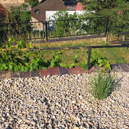 Apartment Einzigartiges Mit Kamin, Whirlpool, Netflix, Internet, Workspace, Garten Und Tropischem Flair *